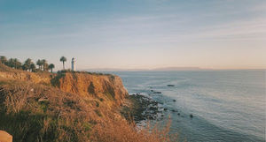 Meet your Posher, Arianna